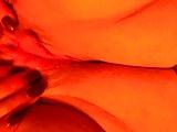 Maison de sexe porno en france gratuit